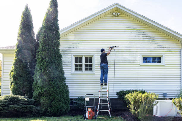 Roof Power Washing Services in Limestone, IL