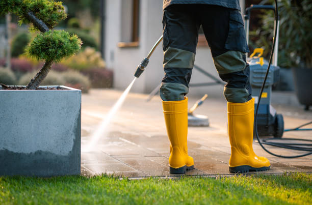Best Sidewalk Pressure Washing  in Limestone, IL